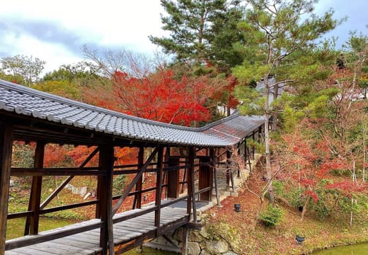 The roofed wooden corridor of Kodai-ji crossing its pond garden among autumn maples