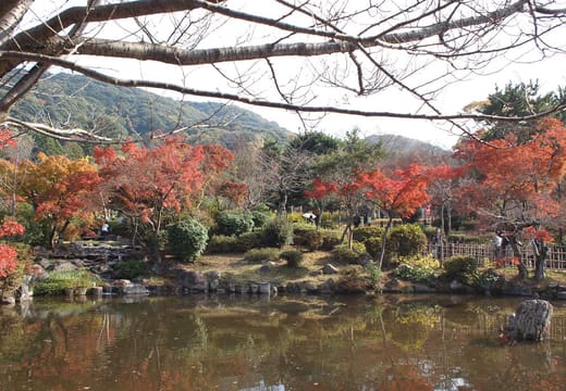 The pond of Maruyama Park with red autumn maples and the Higashiyama hills behind, Kyoto