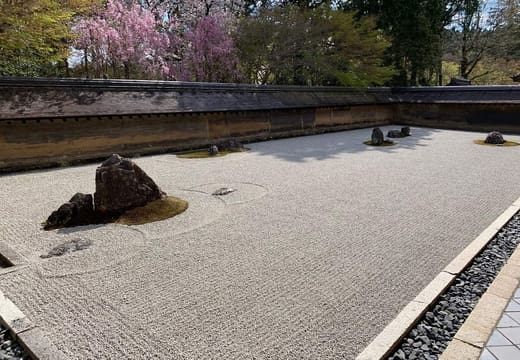 The Ryoan-ji rock garden seen along its length, with cherry blossom above the earthen wall