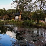 Daikaku-ji