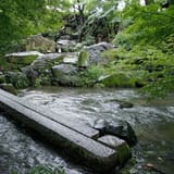 Ganko Takasegawa Nijoen