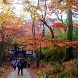 Jojakko-ji