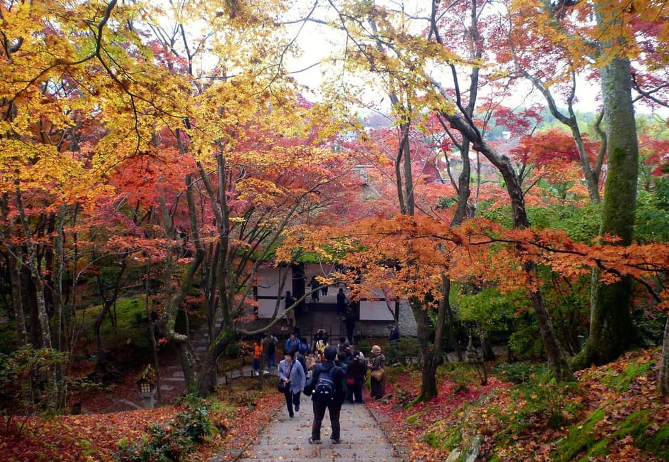 The approach path of Jojakko-ji under red and orange autumn maples