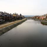 Kamo River