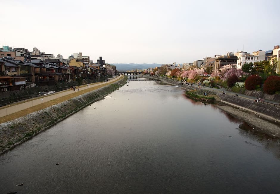 The Kamo river in central Kyoto with the Pontocho buildings along its west bank