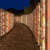 Kimono Forest