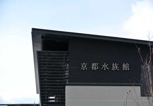 Kyoto Aquarium, Kyoto Station