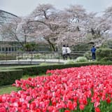 Kyoto Botanical Gardens