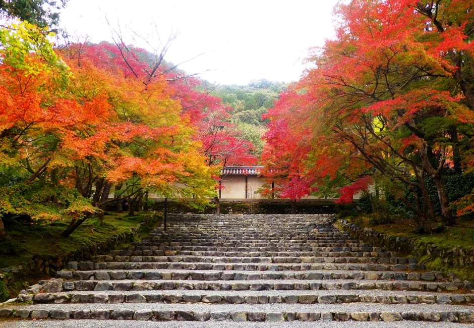 The stone approach to Nison-in lined with red and orange autumn maples, Sagano, Kyoto