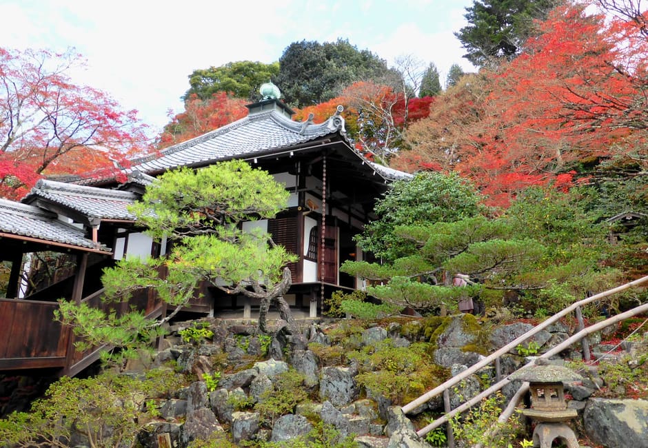 A hall of Reikan-ji above its stone garden slope, with pines, a stone lantern and red autumn maples