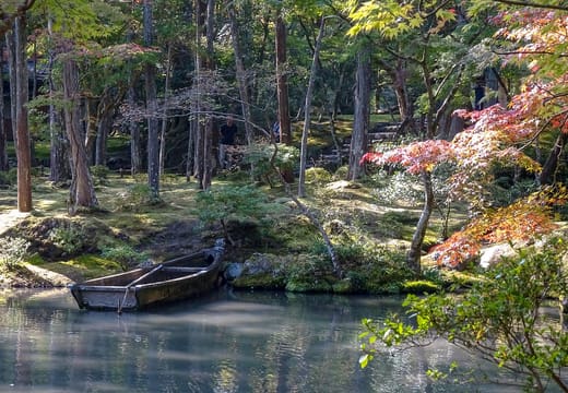 A wooden boat on the pond of Saiho-ji's moss garden, with mossy banks, tall trees and red maple leaves