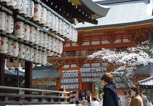 The lantern-hung dance stage of Yasaka Shrine with cherry blossom beside it